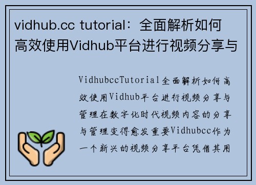 vidhub.cc tutorial：全面解析如何高效使用Vidhub平台进行视频分享与管理